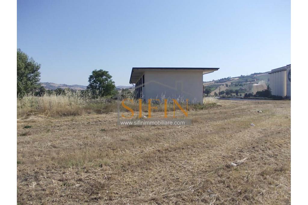 Terreno Edificabile - Grottaminarda - Flumeri (AV) Localit Tre Torri proponiamo in vendita terreno edificabile ad uso commerciale e/o artigianale di mq. 38.000,00 con capannone di mq. 500,00 disposto su due livelli (250+250) con alto indice di edificabilit.