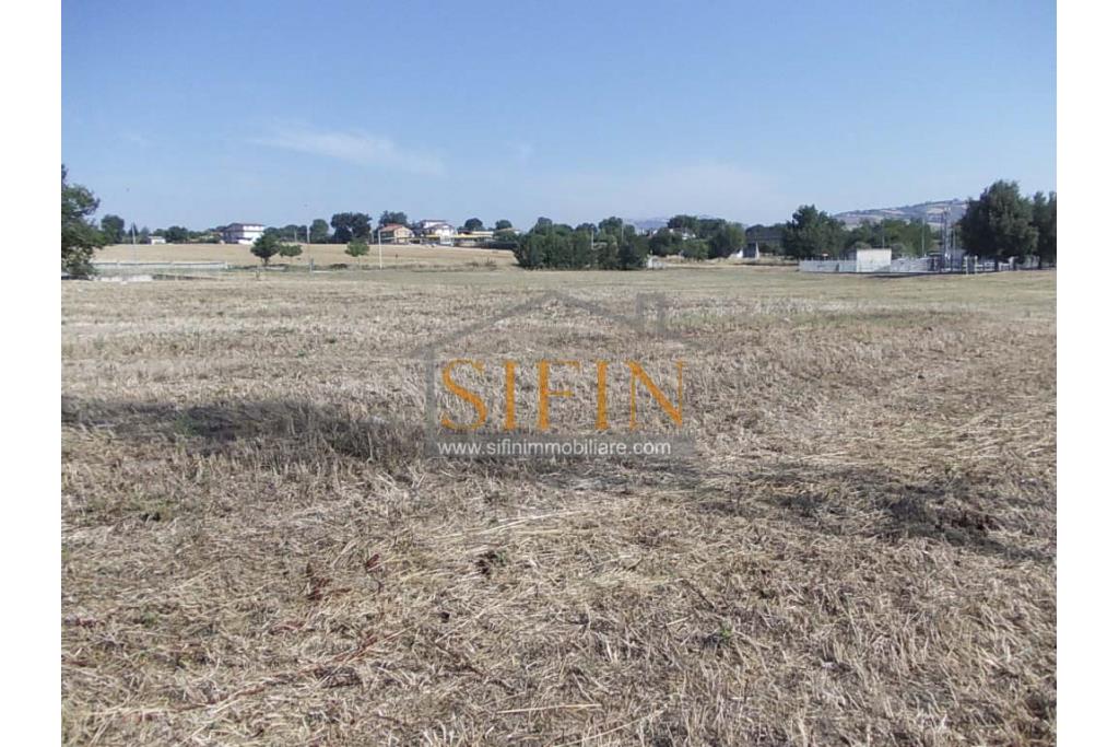 Terreno Edificabile - Grottaminarda - Flumeri (AV) Localit Tre Torri proponiamo in vendita terreno edificabile ad uso commerciale e/o artigianale di mq. 38.000,00 con capannone di mq. 500,00 disposto su due livelli (250+250) con alto indice di edificabilit.