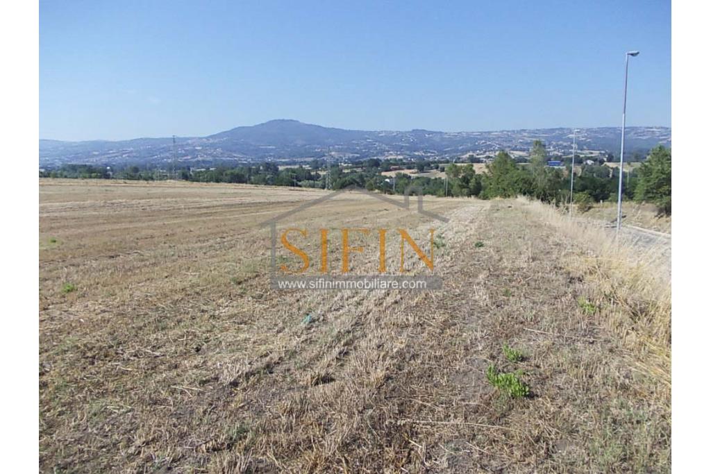 Terreno Edificabile - Grottaminarda - Flumeri (AV) Localit Tre Torri proponiamo in vendita terreno edificabile ad uso commerciale e/o artigianale di mq. 38.000,00 con capannone di mq. 500,00 disposto su due livelli (250+250) con alto indice di edificabilit.