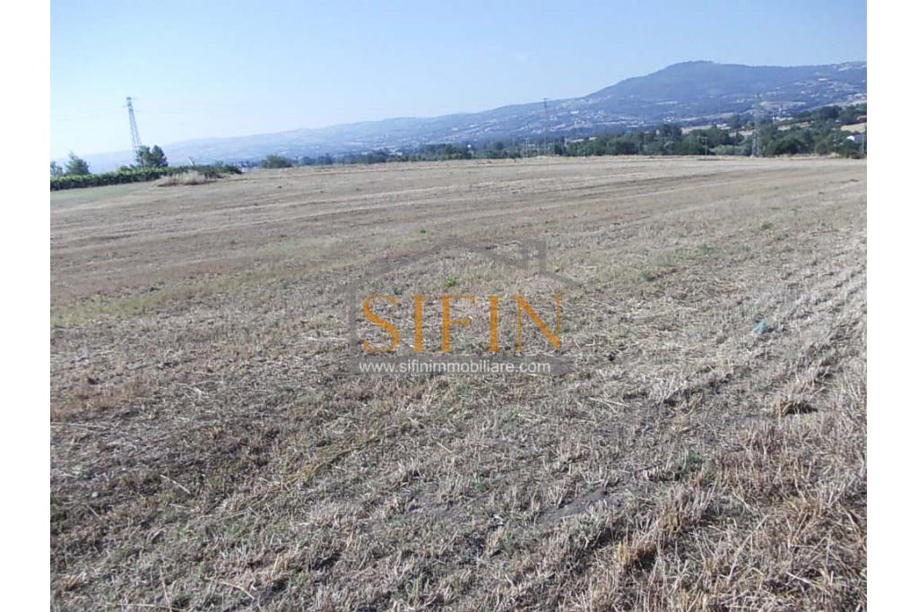 Terreno Edificabile - Grottaminarda - Flumeri (AV) Localit Tre Torri proponiamo in vendita terreno edificabile ad uso commerciale e/o artigianale di mq. 38.000,00 con capannone di mq. 500,00 disposto su due livelli (250+250) con alto indice di edificabilit.