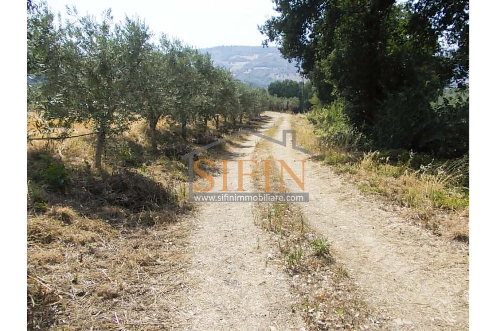 Villa con Terreno - villetta di complessivi mq. 280,00 ca. oltre a deposi per ulteriori mq. 150,00 il tutto circondato da oltre quattro ettari di terreno (mq. 45.000,00) sufficienti per impiantare un azieda agricola.