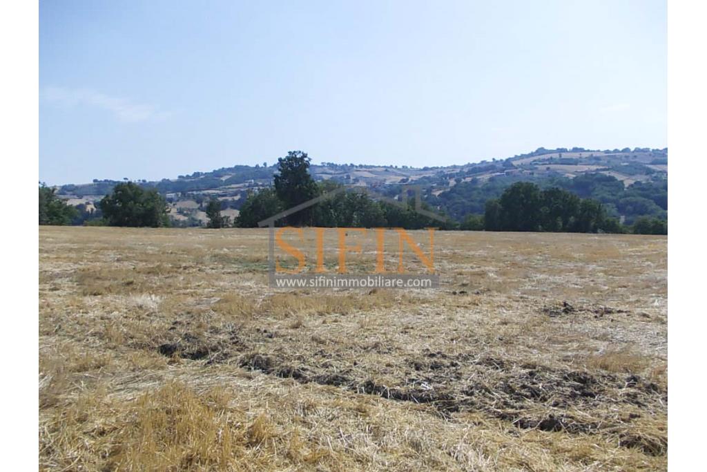 Villa con Terreno - villetta di complessivi mq. 280,00 ca. oltre a deposi per ulteriori mq. 150,00 il tutto circondato da oltre quattro ettari di terreno (mq. 45.000,00) sufficienti per impiantare un azieda agricola.
