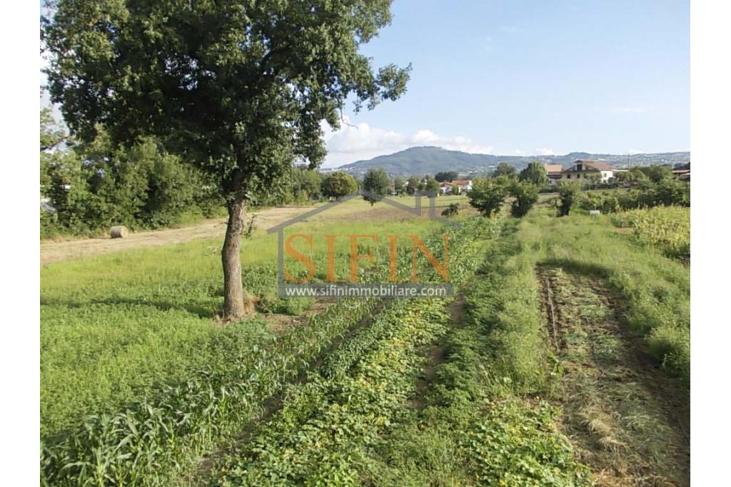 Casa con terreno - Grottaminarda (AV) proponiamo in vendita compendio immobiliare composto da: due fabbricati di cui il primo di mq. 200,00 ca. costruito negli anni '90 ed il secondo fabbricato di mq. 100,00 risalente al 1962.