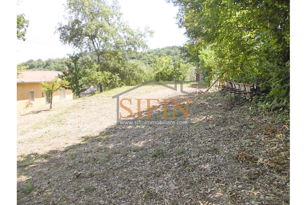 Casa con Terreno - San Sossio Baronia (AV), C/da Fabbricata, a soli 1,2km dal Piazza Mercato, proponiamo in vendita graziosa casetta di mq. 60,00 ca. oltre garage di mq. 25,00 ca. immersa nel verde e circondata da siepe di lauroceraso oltre a mq. 700,00 di giardino terrazzato ed ulteriori mq. 7.000,00 ca. di terreno