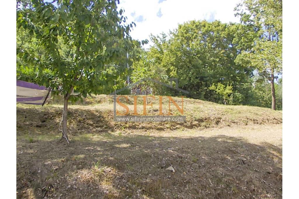 Casa con Terreno - San Sossio Baronia (AV), C/da Fabbricata, a soli 1,2km dal Piazza Mercato, proponiamo in vendita graziosa casetta di mq. 60,00 ca. oltre garage di mq. 25,00 ca. immersa nel verde e circondata da siepe di lauroceraso oltre a mq. 700,00 di giardino terrazzato ed ulteriori mq. 7.000,00 ca. di terreno