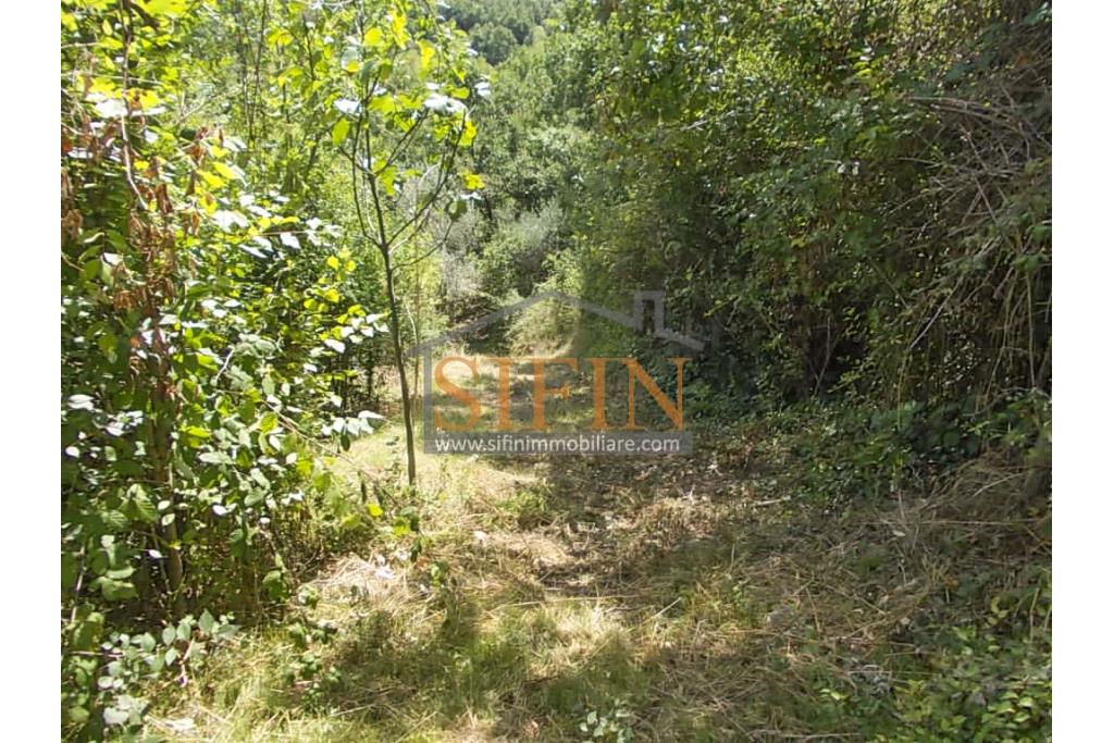 Casa con Terreno - San Sossio Baronia (AV), C/da Fabbricata, a soli 1,2km dal Piazza Mercato, proponiamo in vendita graziosa casetta di mq. 60,00 ca. oltre garage di mq. 25,00 ca. immersa nel verde e circondata da siepe di lauroceraso oltre a mq. 700,00 di giardino terrazzato ed ulteriori mq. 7.000,00 ca. di terreno