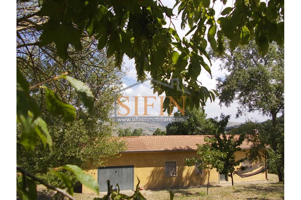 Casa con Terreno - San Sossio Baronia (AV), C/da Fabbricata, a soli 1,2km dal Piazza Mercato, proponiamo in vendita graziosa casetta di mq. 60,00 ca. oltre garage di mq. 25,00 ca. immersa nel verde e circondata da siepe di lauroceraso oltre a mq. 700,00 di giardino terrazzato ed ulteriori mq. 7.000,00 ca. di terreno
