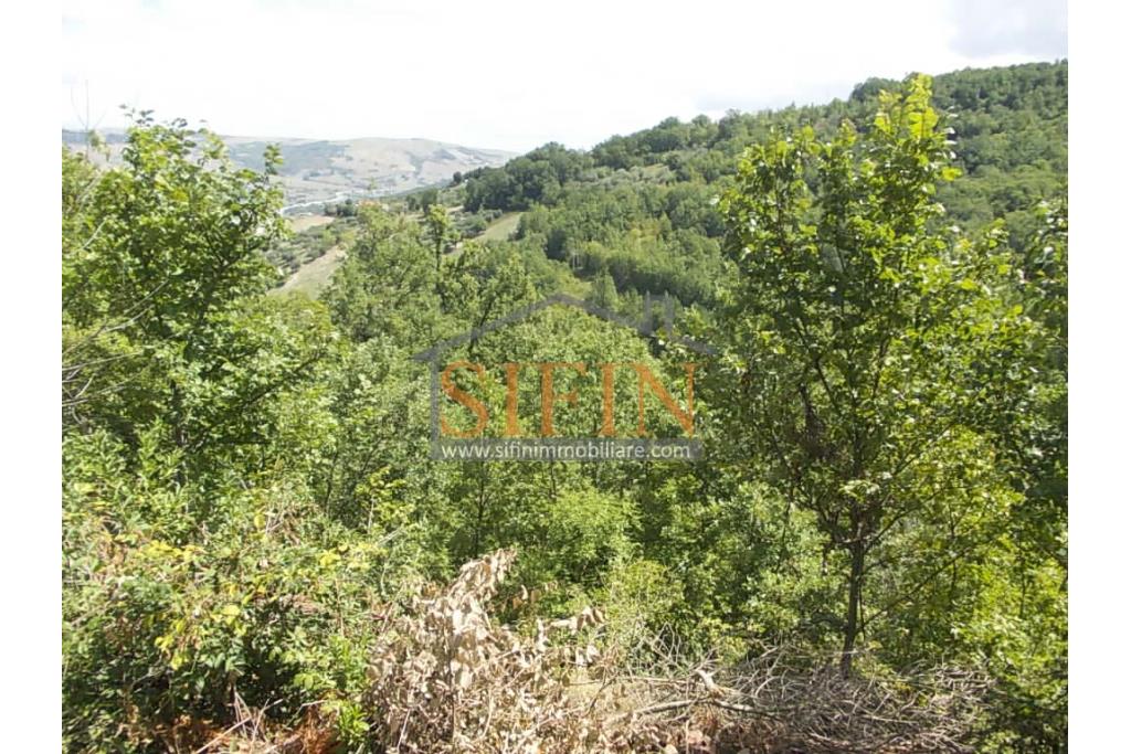 Casa con Terreno - San Sossio Baronia (AV), C/da Fabbricata, a soli 1,2km dal Piazza Mercato, proponiamo in vendita graziosa casetta di mq. 60,00 ca. oltre garage di mq. 25,00 ca. immersa nel verde e circondata da siepe di lauroceraso oltre a mq. 700,00 di giardino terrazzato ed ulteriori mq. 7.000,00 ca. di terreno