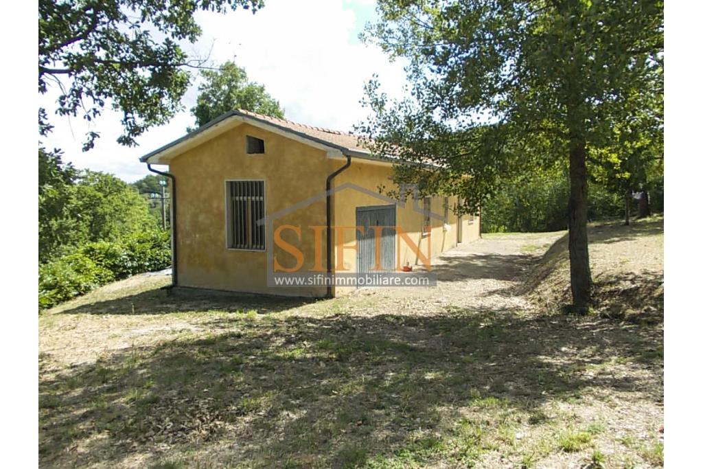 Casa con Terreno - San Sossio Baronia (AV), C/da Fabbricata, a soli 1,2km dal Piazza Mercato, proponiamo in vendita graziosa casetta di mq. 60,00 ca. oltre garage di mq. 25,00 ca. immersa nel verde e circondata da siepe di lauroceraso oltre a mq. 700,00 di giardino terrazzato ed ulteriori mq. 7.000,00 ca. di terreno
