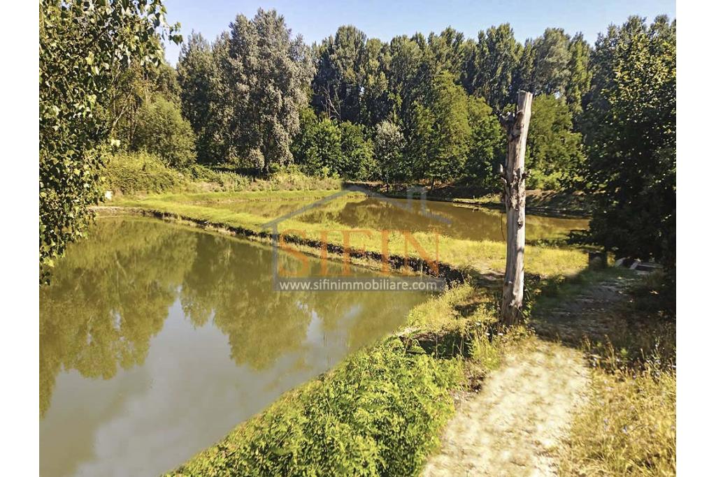 2 Laghi acquacoltura-pesca sportiva  - Proponiamo in locazione impianto di acquacoltura e pesca sportiva con due laghetti naturali con acqua sorgiva