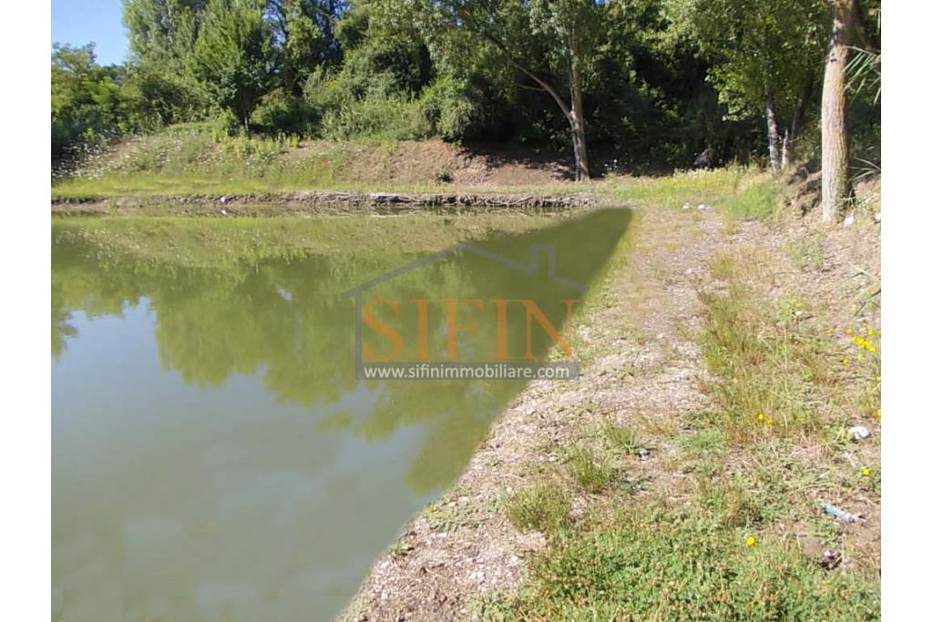 2 Laghi acquacoltura-pesca sportiva  - Proponiamo in locazione impianto di acquacoltura e pesca sportiva con due laghetti naturali con acqua sorgiva