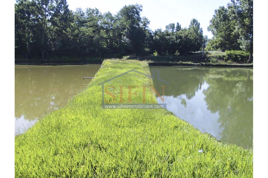 2 Laghi acquacoltura-pesca sportiva  - Proponiamo in locazione impianto di acquacoltura e pesca sportiva con due laghetti naturali con acqua sorgiva