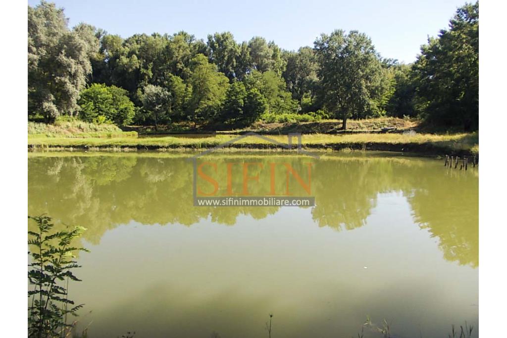 2 Laghi acquacoltura-pesca sportiva  - Proponiamo in locazione impianto di acquacoltura e pesca sportiva con due laghetti naturali con acqua sorgiva