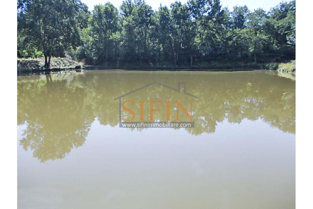 2 Laghi acquacoltura-pesca sportiva  - Proponiamo in locazione impianto di acquacoltura e pesca sportiva con due laghetti naturali con acqua sorgiva