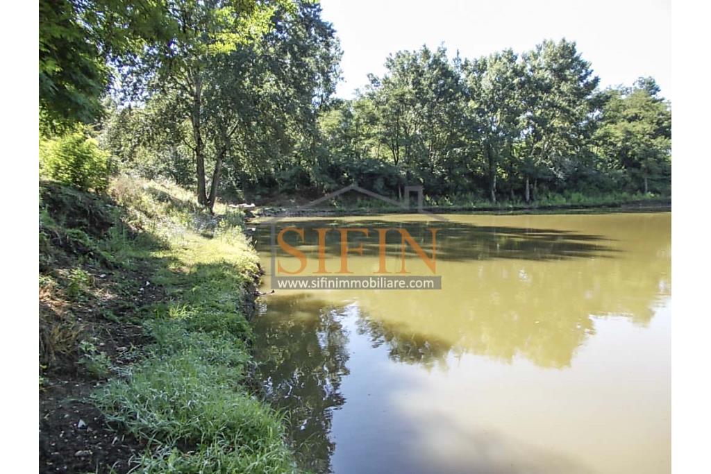 2 Laghi acquacoltura-pesca sportiva  - Proponiamo in locazione impianto di acquacoltura e pesca sportiva con due laghetti naturali con acqua sorgiva