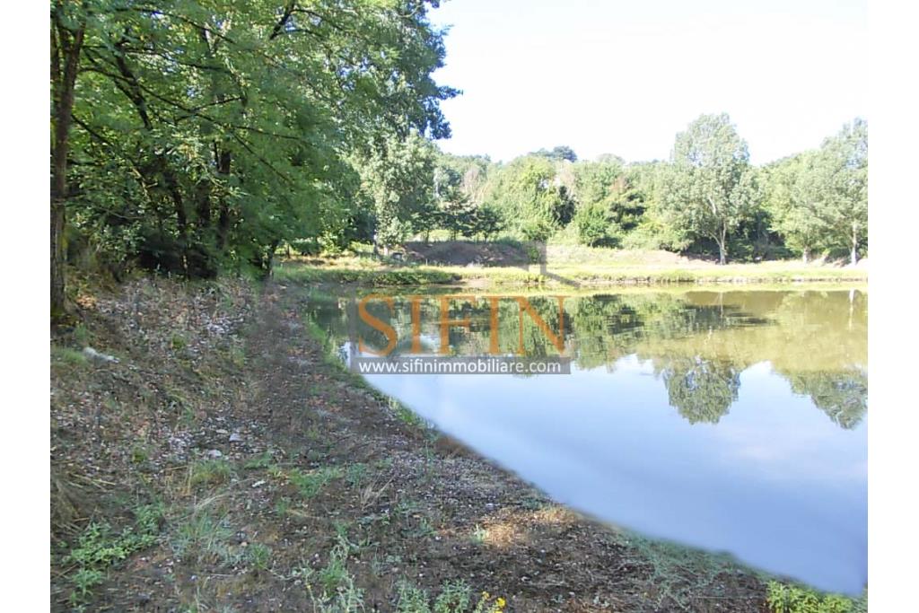 2 Laghi acquacoltura-pesca sportiva  - Proponiamo in locazione impianto di acquacoltura e pesca sportiva con due laghetti naturali con acqua sorgiva