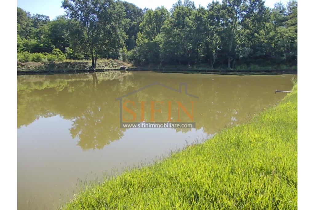2 Laghi acquacoltura-pesca sportiva  - Proponiamo in locazione impianto di acquacoltura e pesca sportiva con due laghetti naturali con acqua sorgiva