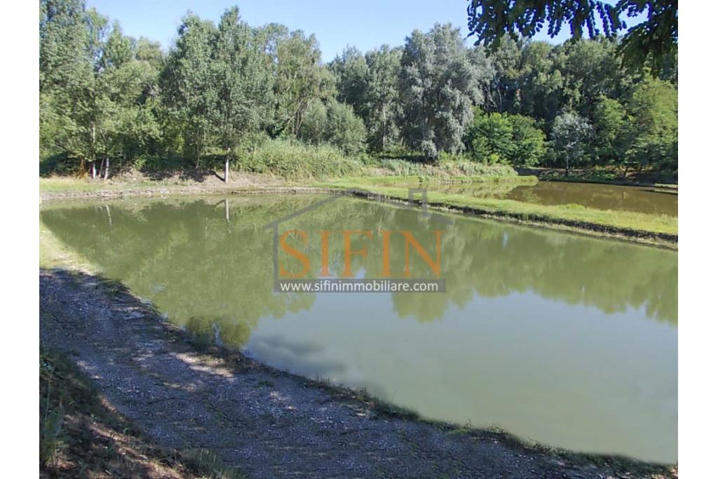 2 Laghi acquacoltura-pesca sportiva  - Proponiamo in locazione impianto di acquacoltura e pesca sportiva con due laghetti naturali con acqua sorgiva