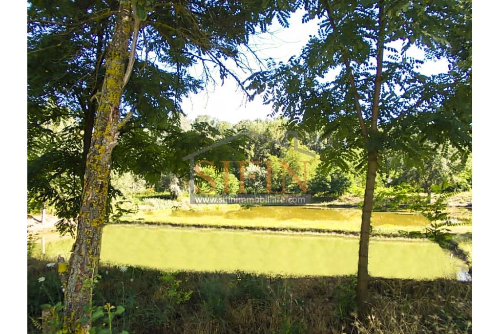 2 Laghi acquacoltura-pesca sportiva  - Proponiamo in locazione impianto di acquacoltura e pesca sportiva con due laghetti naturali con acqua sorgiva