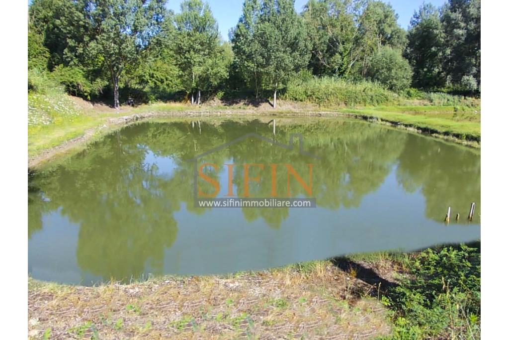 2 Laghi acquacoltura-pesca sportiva  - Proponiamo in locazione impianto di acquacoltura e pesca sportiva con due laghetti naturali con acqua sorgiva