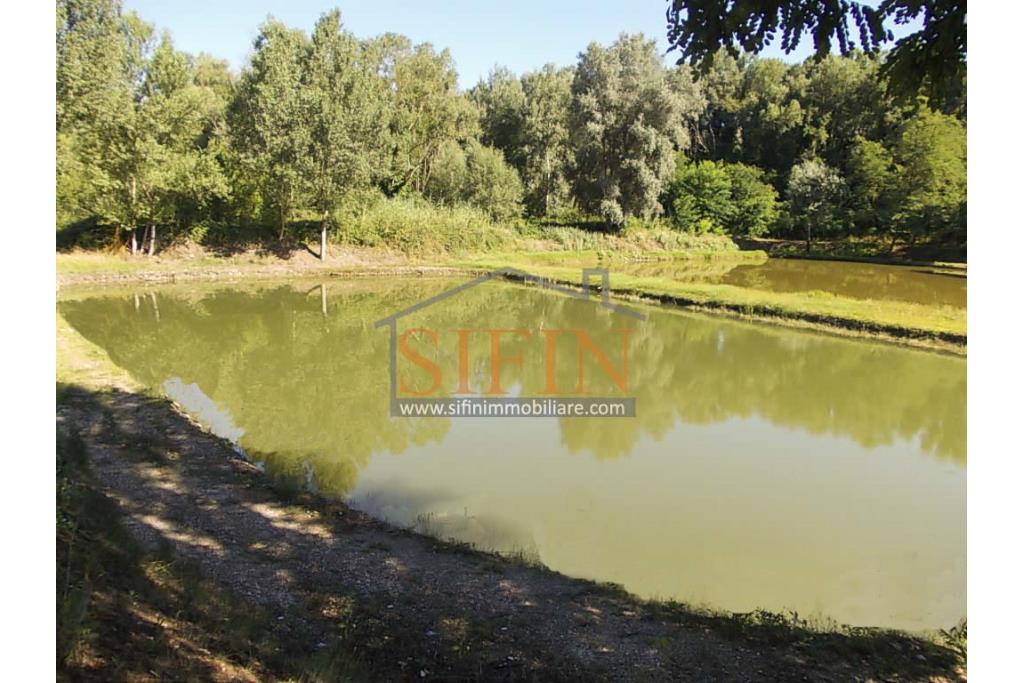 2 Laghi acquacoltura-pesca sportiva  - Proponiamo in locazione impianto di acquacoltura e pesca sportiva con due laghetti naturali con acqua sorgiva