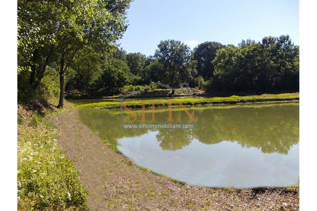2 Laghi acquacoltura-pesca sportiva  - Proponiamo in locazione impianto di acquacoltura e pesca sportiva con due laghetti naturali con acqua sorgiva