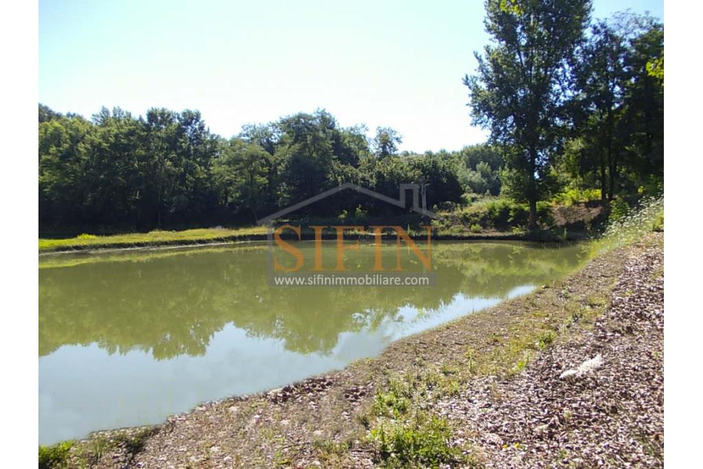 2 Laghi acquacoltura-pesca sportiva  - Proponiamo in locazione impianto di acquacoltura e pesca sportiva con due laghetti naturali con acqua sorgiva