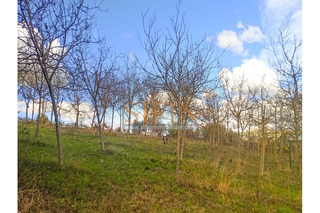 Terreno Edificabile - Grottaminarda (AV) su S.S. 90, in prossimit della rotonda che porta alla futura stazione dll'alta velocit 