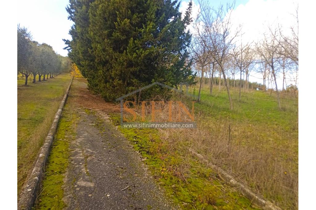 Terreno Edificabile - Grottaminarda (AV) su S.S. 90, in prossimit della rotonda che porta alla futura stazione dll'alta velocit 