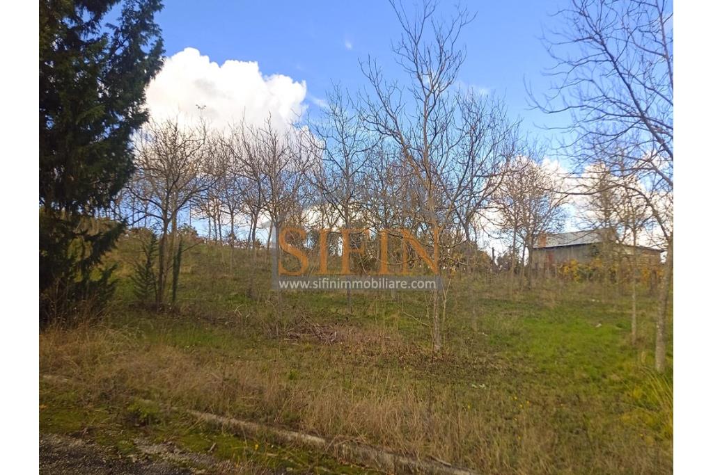 Terreno Edificabile - Grottaminarda (AV) su S.S. 90, in prossimit della rotonda che porta alla futura stazione dll'alta velocit 