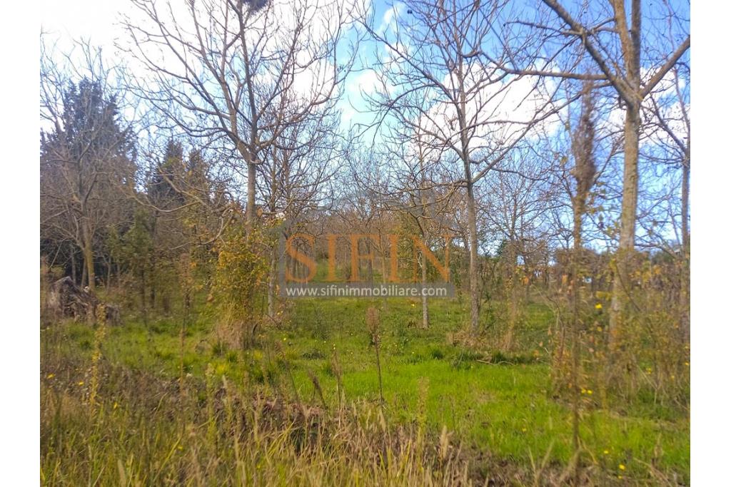 Terreno Edificabile - Grottaminarda (AV) su S.S. 90, in prossimit della rotonda che porta alla futura stazione dll'alta velocit 