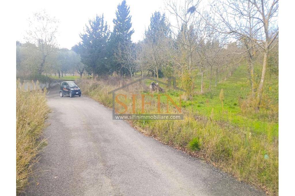 Terreno Edificabile - Grottaminarda (AV) su S.S. 90, in prossimit della rotonda che porta alla futura stazione dll'alta velocit 