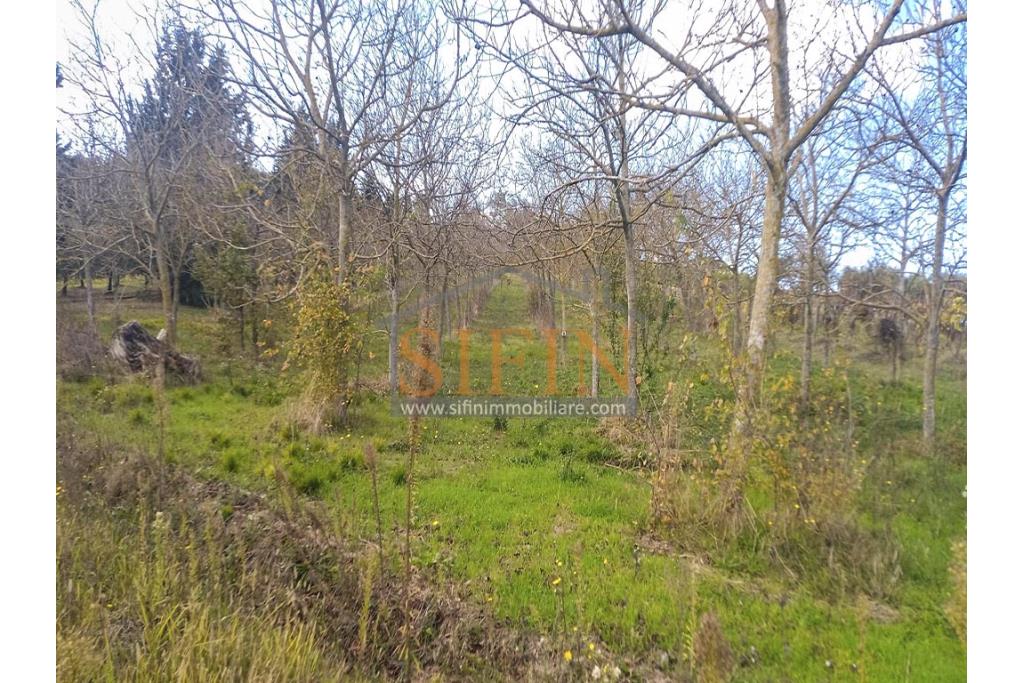 Terreno Edificabile - Grottaminarda (AV) su S.S. 90, in prossimit della rotonda che porta alla futura stazione dll'alta velocit 