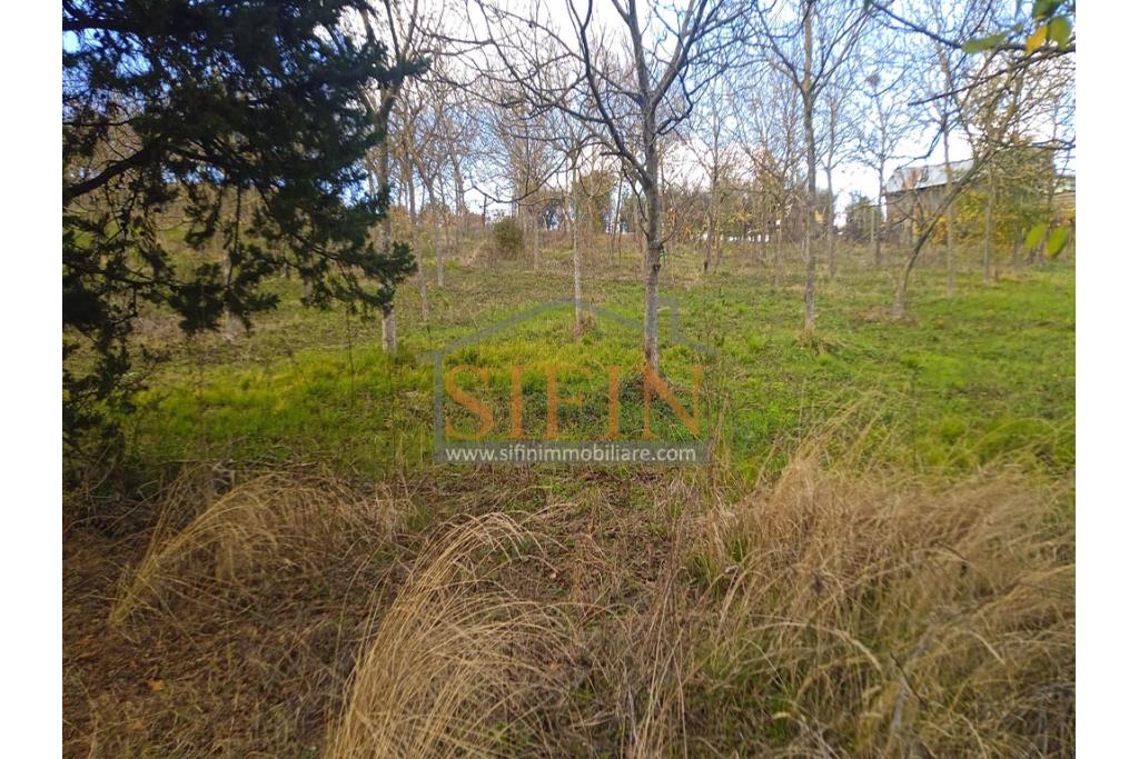 Terreno Edificabile - Grottaminarda (AV) su S.S. 90, in prossimit della rotonda che porta alla futura stazione dll'alta velocit 