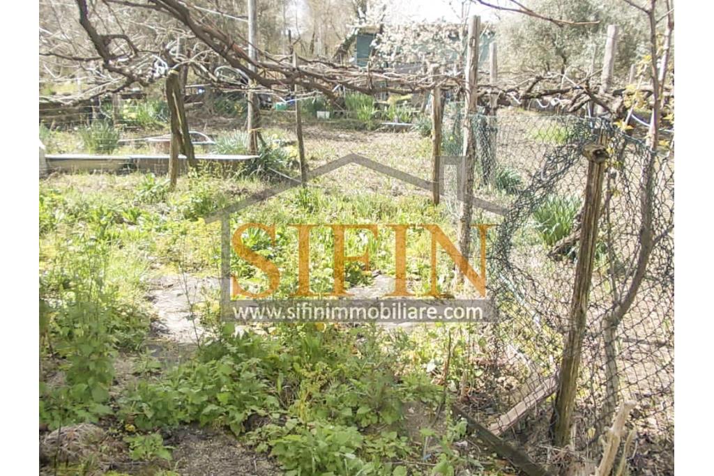 Casa con giardino - Montemarano (AV), proponiamo in vendita casa semindipendente (appartamento) ubicata alla Contrada Acquavivola, composta da veranda d'ingresso, corridoio, cucina due camere e bagno al piano rialzato per un totale di complesivi mq. 75,00 ca. oltre ad un deposito di mq. 15,00 al piano seminterrato e piccolo giardino di mq. 70,00 ca.