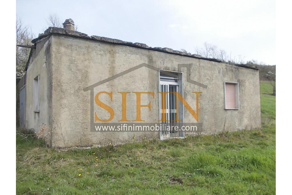 Casa con Terreno - Zungoli (AV) proponiamo in vendita un fabbricato da ristrutturare di mq. 130,00 ca. composto da due vani abitativi di mq. 50,00 ca. ed un vano deposito/cantina di mq. 80,00 ca. oltre a mq. 11.000,00 ca. di terreno 