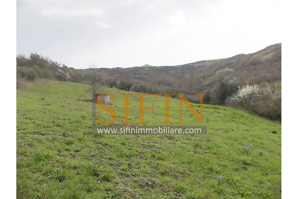 Casa con Terreno - Zungoli (AV) proponiamo in vendita un fabbricato da ristrutturare di mq. 130,00 ca. composto da due vani abitativi di mq. 50,00 ca. ed un vano deposito/cantina di mq. 80,00 ca. oltre a mq. 11.000,00 ca. di terreno 