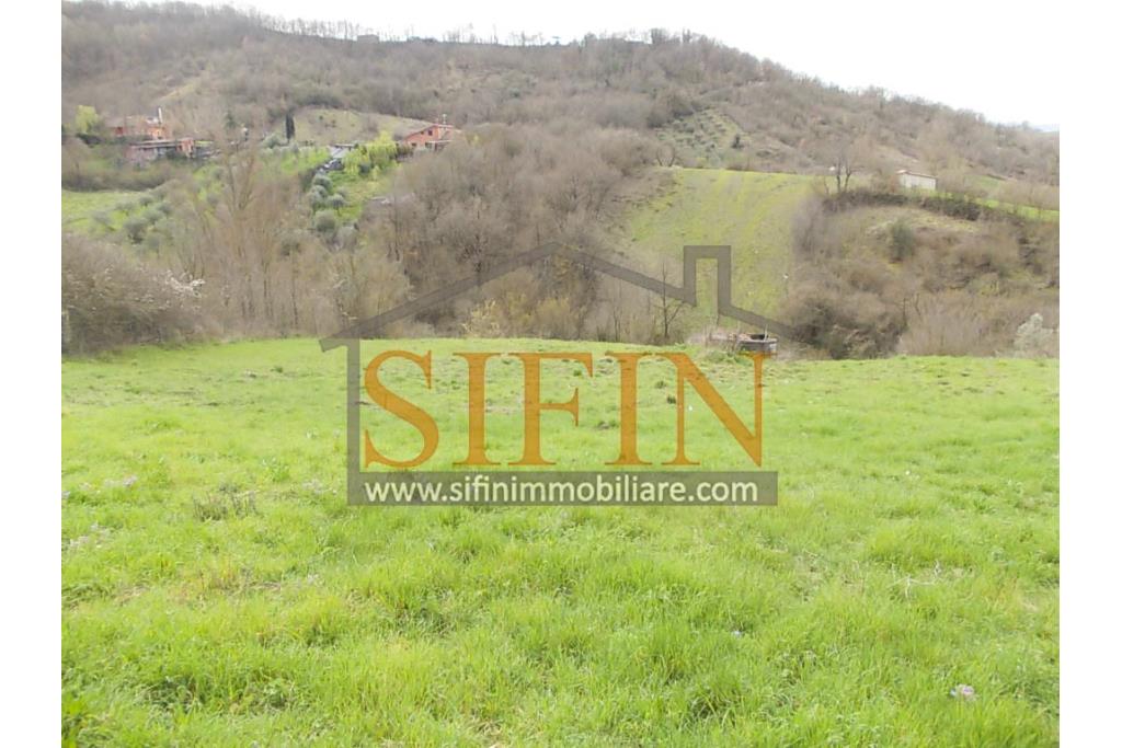 Casa con Terreno - Zungoli (AV) proponiamo in vendita un fabbricato da ristrutturare di mq. 130,00 ca. composto da due vani abitativi di mq. 50,00 ca. ed un vano deposito/cantina di mq. 80,00 ca. oltre a mq. 11.000,00 ca. di terreno 