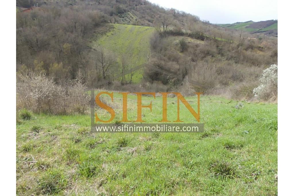 Casa con Terreno - Zungoli (AV) proponiamo in vendita un fabbricato da ristrutturare di mq. 130,00 ca. composto da due vani abitativi di mq. 50,00 ca. ed un vano deposito/cantina di mq. 80,00 ca. oltre a mq. 11.000,00 ca. di terreno 