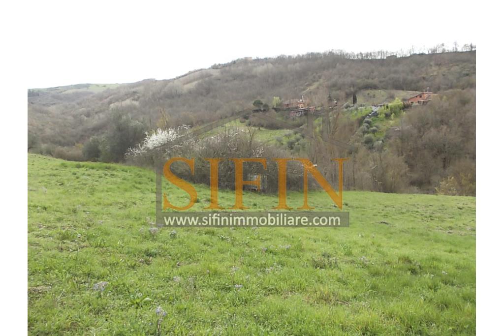Casa con Terreno - Zungoli (AV) proponiamo in vendita un fabbricato da ristrutturare di mq. 130,00 ca. composto da due vani abitativi di mq. 50,00 ca. ed un vano deposito/cantina di mq. 80,00 ca. oltre a mq. 11.000,00 ca. di terreno 