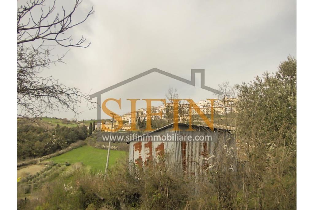 Casa con Terreno - Zungoli (AV) proponiamo in vendita un fabbricato da ristrutturare di mq. 130,00 ca. composto da due vani abitativi di mq. 50,00 ca. ed un vano deposito/cantina di mq. 80,00 ca. oltre a mq. 11.000,00 ca. di terreno 