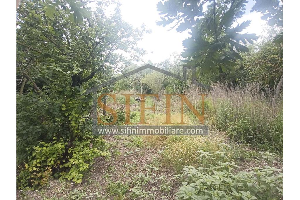 Rudere con terreno - Grottaminarda, su S.S. 90 (Contrada Cognole), proponiamo in vendita deposito di mq. 65,00 ca. completamente da ristrutturare con terreno adiacente di mq. 2.000,00 ca. avente destinazione urbanistica agricola.