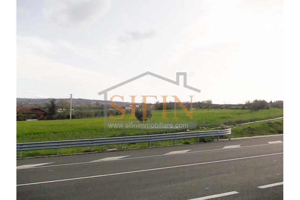 Terreno Edificabile - Grottaminarda (AV) in adiacenza della variante ANAS, proponiamo in vendita terreno edificabile di mq. 18.500,00 ricadente in zona 