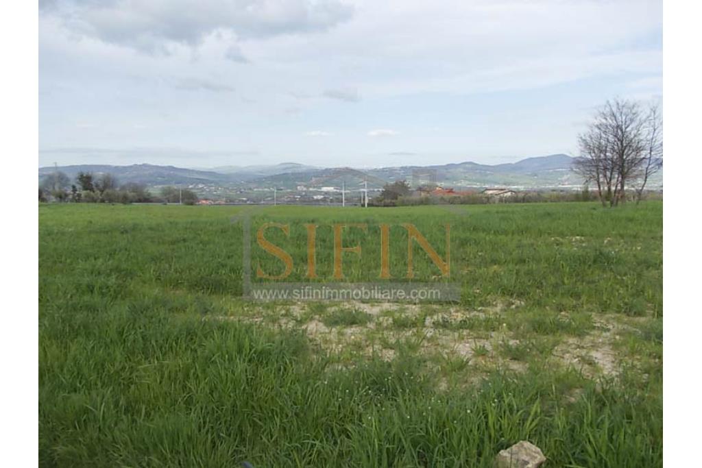 Terreno Edificabile - Grottaminarda (AV) in adiacenza della variante ANAS, proponiamo in vendita terreno edificabile di mq. 18.500,00 ricadente in zona 