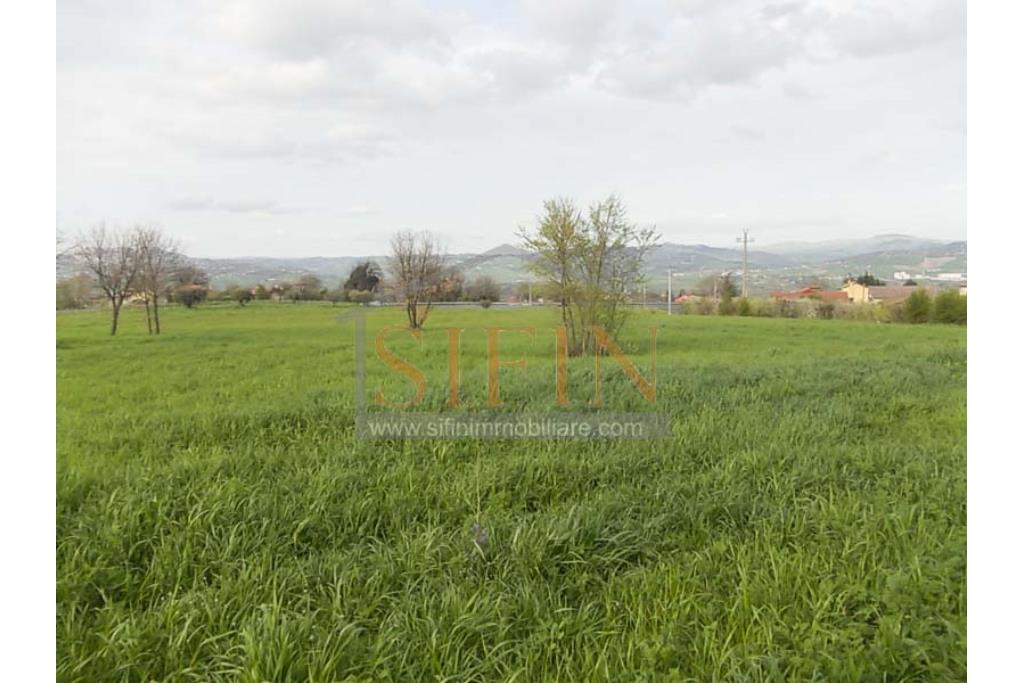 Terreno Edificabile - Grottaminarda (AV) in adiacenza della variante ANAS, proponiamo in vendita terreno edificabile di mq. 18.500,00 ricadente in zona 