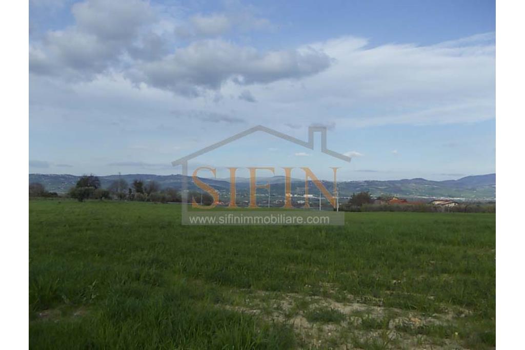 Terreno Edificabile - Grottaminarda (AV) in adiacenza della variante ANAS, proponiamo in vendita terreno edificabile di mq. 18.500,00 ricadente in zona 