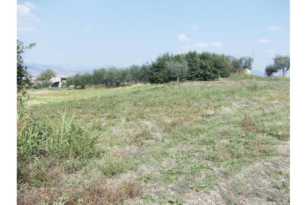 Terreno Edificabile - Terreno edificabile in vendita a Grottaminarda Frazione Carpignano