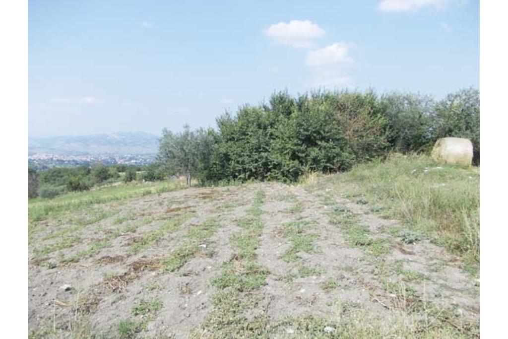 Terreno Edificabile - Terreno edificabile in vendita a Grottaminarda Frazione Carpignano