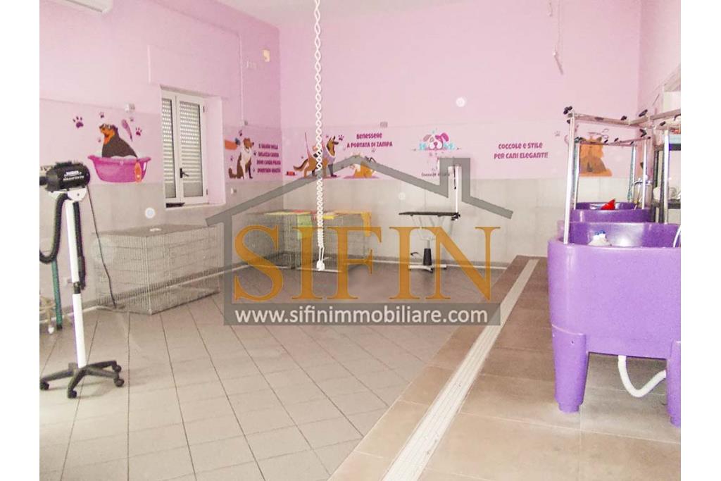 Negozio di Toelettatura PRONTO - Grottaminarda: Affittasi Negozio di Toelettatura 