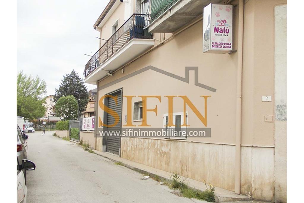 Negozio di Toelettatura PRONTO - Grottaminarda: Affittasi Negozio di Toelettatura 